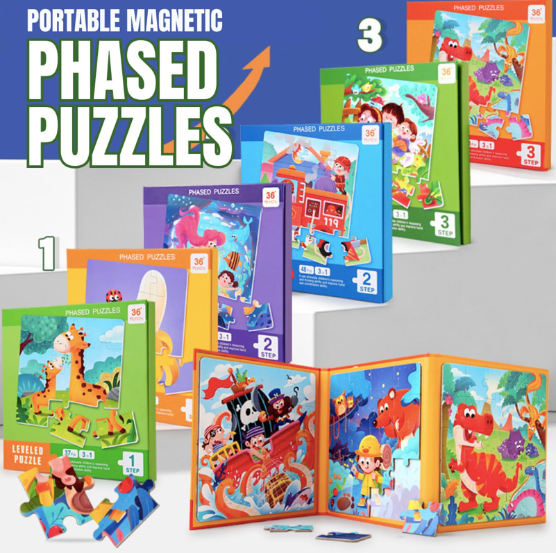 Magnetic Phase Puzzle