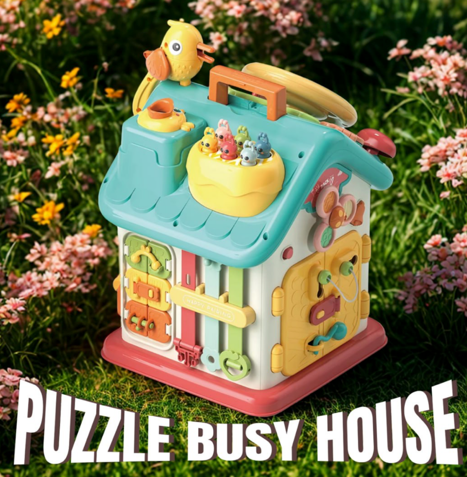 Puzzle Busy House