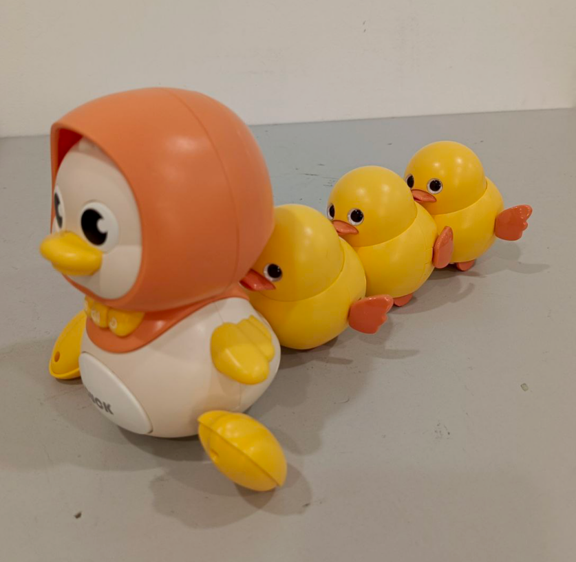 Swinging Duck Gift Set