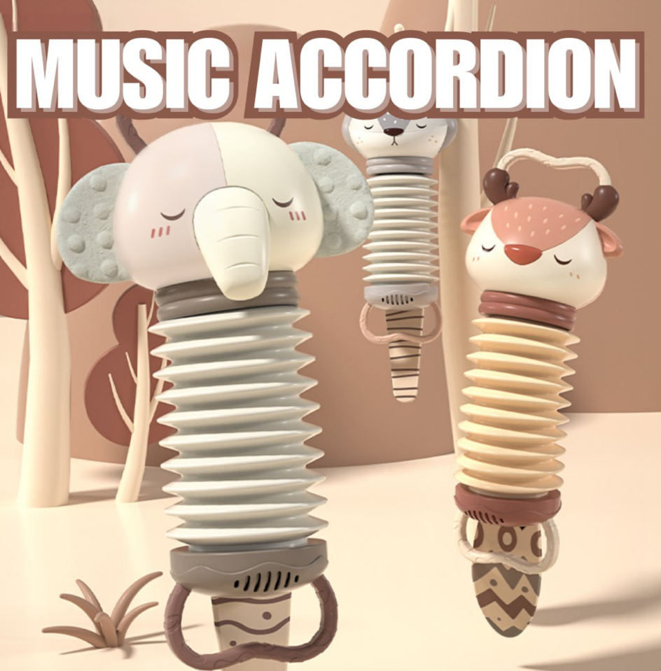 Music Accordion
