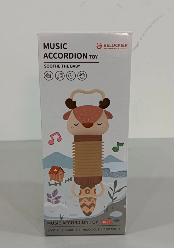 Music Accordion