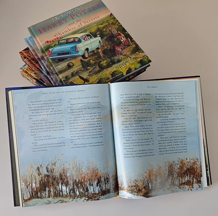 Harry Potter Illustrated 5-Book Set