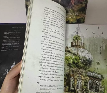 Harry Potter Illustrated 5-Book Set