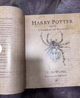 Harry Potter Illustrated 5-Book Set