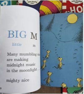 Dr. Seuss 20 Bookset