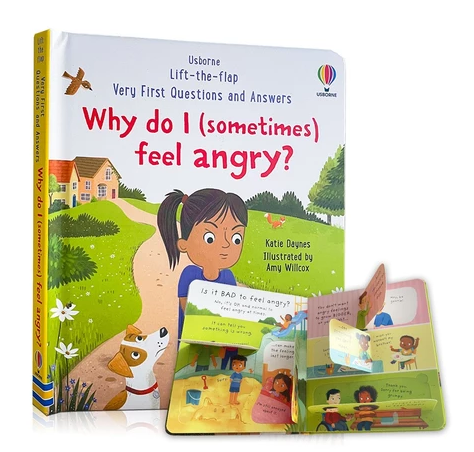 Usborne Lift the Flap Question Books