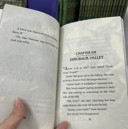 Magic Tree House 39 Books