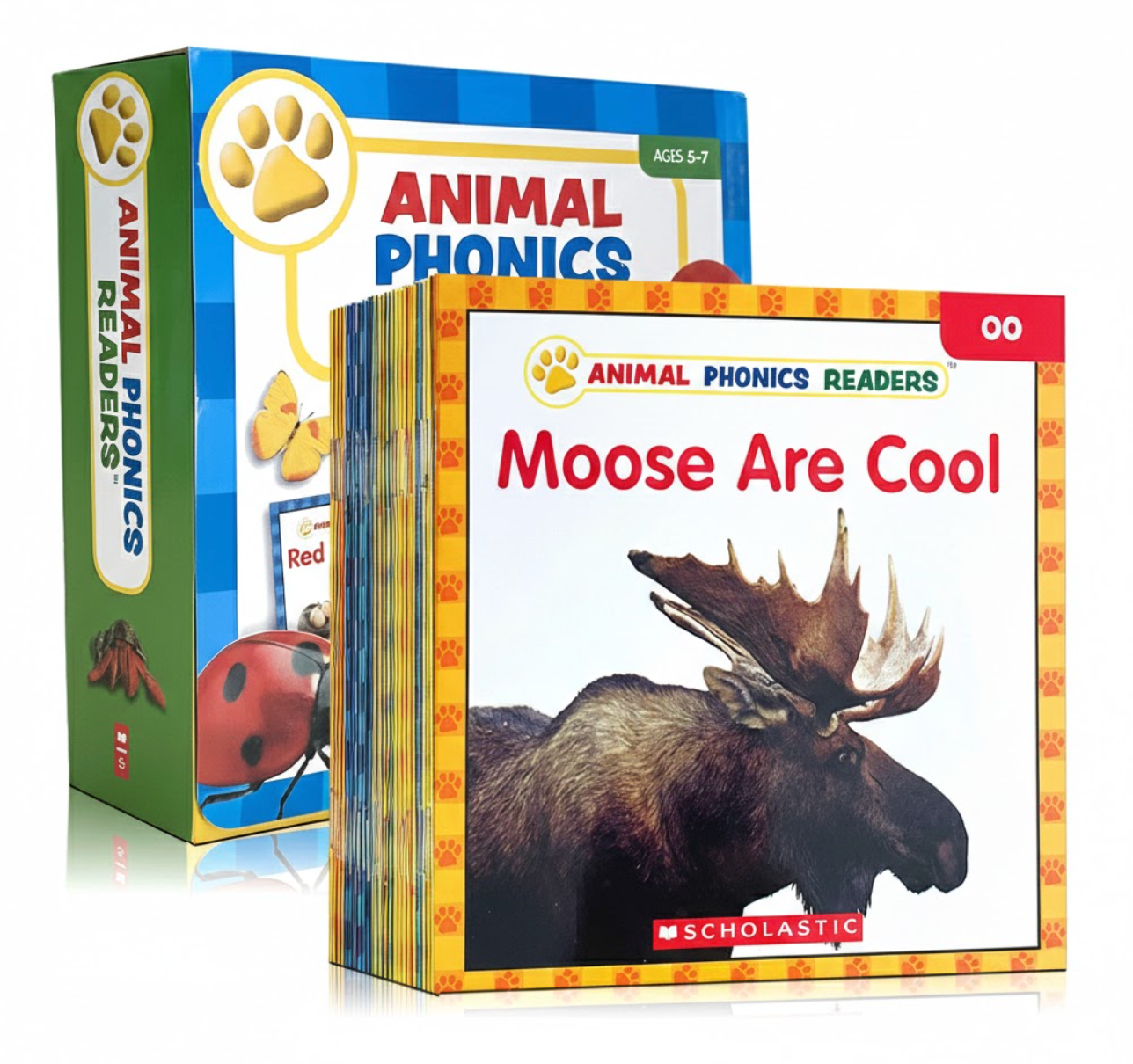 Animal Phonics Readers 24 books